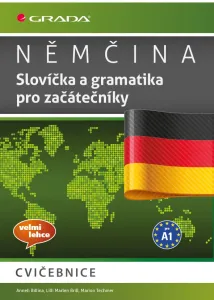 Němčina - Slovíčka a gramatika pro začátečníky A1 - Anneli Billina a kolektiv