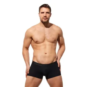 Pánske erotické boxerky GREGG HOMME