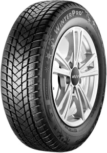 Zimné pneumatiky GT RADIAL