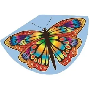 Günther – Papillon 92 × 62 cm