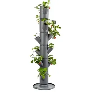Gusta Garden SISSI STRAWBERRY classic samozavlažovací kvetináč 6 poschodí, antracit
