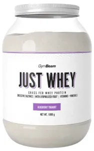 Proteín Just Whey - GymBeam, príchuť čučoriedkový jogurt, 1000g