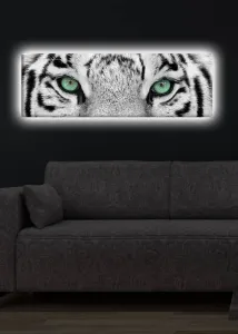 ASIR Obraz na plátne s LED podsvietením BIELY TIGER 30 cm