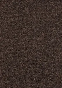 Kusový koberec Nasty 101154 Braun Rozmery koberca: 80x150