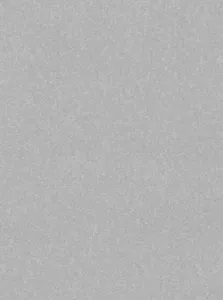 Hanse Home Collection koberce Kusový koberec Nasty 101595 Silber - 200x300 cm