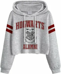Harry Potter Mikina Hogwarts Alumni Ladies L Grey