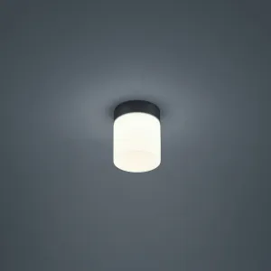 Helestra Keto stropné LED svetlo, valec, čierna