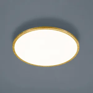 Helestra Rack stropné LED stmieva okrúhle zlaté