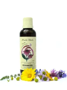 Tinktúra z byliny Echinacea purpurová HERBA VITALIS 50 ml
