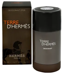 Hermes Terre D'Hermes deostick pre mužov 75 ml