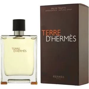 Hermes Terre D Hermes 100ml #843987
