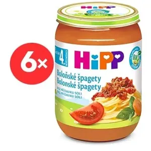 HiPP BIO Špagety v bolonskej omáčke - 6x 190g #7846339