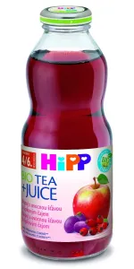 HiPP Čaj&Ovocie Šípkový čaj a šťava z červ.plodov 500 ml