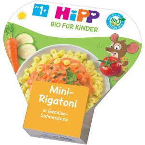 HiPP BIO Mini-Rigatoni so zeleninou príkrm v smotanovej omáčke (od ukonč. 1 roku) (inov. 2021) 1x250 g