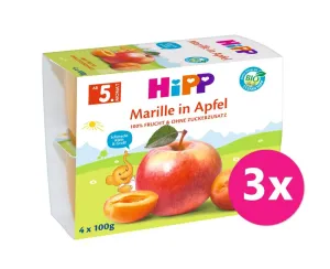 6x HiPP BIO Jablko-Broskyňa-Mango-Ananás + zinok 100 g, od 1 roka #7351422