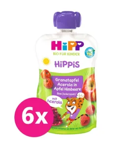 6x HIPP BIO HiPPiS Jablko-Maliny-Granátové Jablko-Acerola 100 g, od 1 roka #7351431