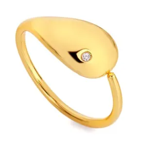 Hot Diamonds Elegantný pozlátený prsteň s diamantom Jac Jossa Soul DR282 51 mm