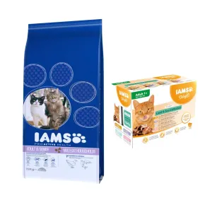Výhodné balenie IAMS 2 x veľké balenie - Multi-Cat Households s lososom - 2 x 15 kg