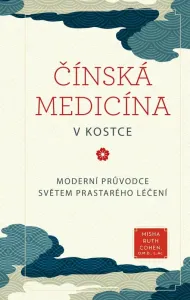 Čínská medicína v kostce - Moderní průvodce světem prastarého léčení - Ruth Cohen Misha