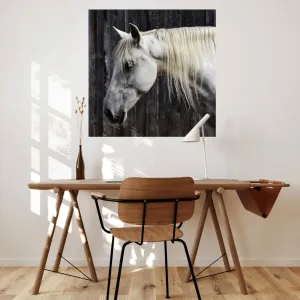 Nálepky na stenu - Biely kôň