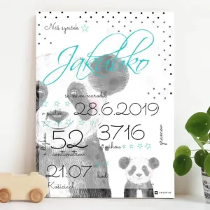 Darček na krstiny - Tabuľka s údajmi o narodení s pandou