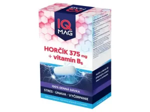 IQ MAG Horčík 375 mg + B6 60 kapsúl