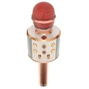 ISO Karaoke mikrofón s reproduktorom Izoxis