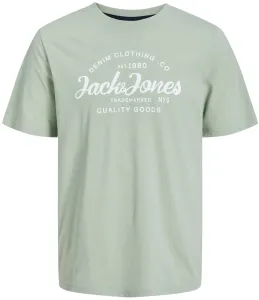 Jack&Jones Pánske tričko JJFOREST Standard Fit 12247972 Desert Sage S