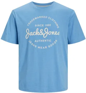 Jack&Jones Pánske tričko JJFOREST Standard Fit 12247972 Pacific Coast XL