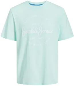 Jack&Jones Pánske tričko JJFOREST Standard Fit 12247972 Soothing Sea L