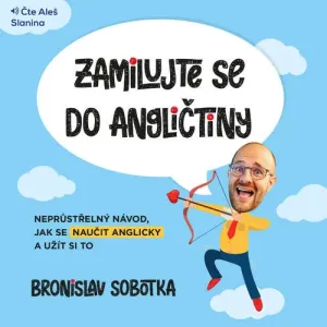 Zamilujte se do angličtiny - Bronislav Sobotka (mp3 audiokniha)
