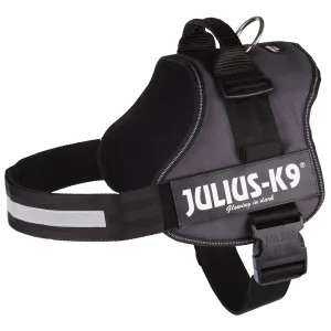 JULIUS-K9® Power postroj - antracitový - veľ. 3/XL: 82–118 cm