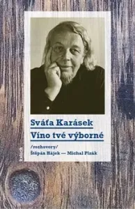 Víno tvé výborné /rozhovory Štěpán Hájek a Michal Plzák/ - Karásek Sváťa