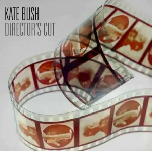 Kate Bush - Director’s Cut (2 LP) LP platňa