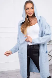 Ordinary sweater with a hood and pockets of blue color