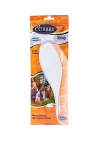 Corbby Fresh Day Year-round Sanitary Liners 3 Pairs #4748514