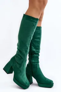 Women's insulated boots with chunky heels, green Layala