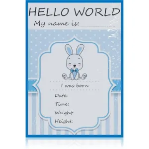 KidPro Milestone Cards Bunny For a Boy míľnikové kartičky