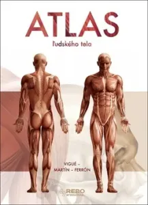 Atlas ľudského tela #3279459