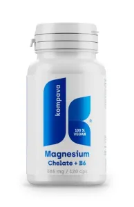 Magnesium Chelate + B6 - Kompava 120 kaps