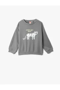 Koton Cat Printed Sweatshirt with Applique Detail, Long Sleeves, Crew Neck