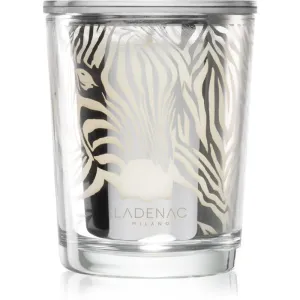 Ladenac Africa Zebra Camouflage vonná sviečka 70 g #883950