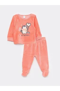 LC Waikiki Crew Neck Long Sleeves Baby Girl Velvet Set With Embroidery Detail