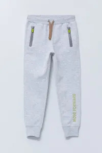 LC Waikiki Men's Sweatpants