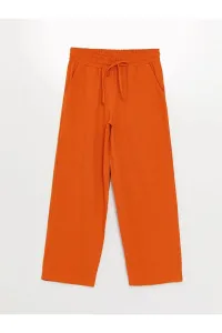 LC Waikiki Lcw Modest Women's Elastic Waist, Comfortable Fit and Straight Linen Blended Trousers