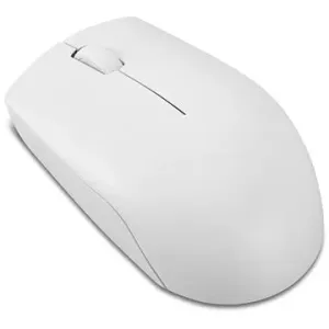 Lenovo 300 Wireless Compact Mouse (Cloud Grey) #7627425