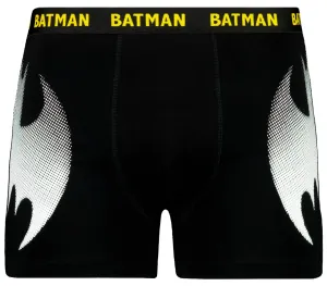 Pánske boxerky Batman - Frogies #8228399