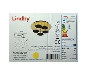 Lindby Lindby - LED Stmievateľné stropné svietidlo CASNI 5xLED/5W/230V