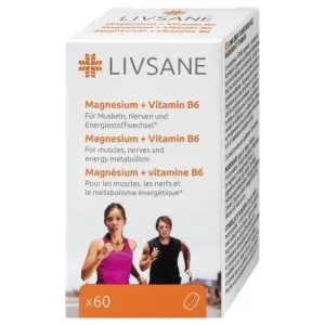 LIVSANE Magnézium + Vitamín B6 tbl 1x60 ks