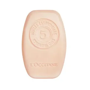 L`Occitane en Provence Tuhý regeneračný šampón ( Intensive Repair Solid Shampoo) 60 g